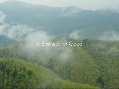 Inspirations Along the Way: The Film of bambu’s Foundational Journey
