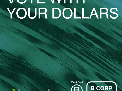 The Impact of B Corps: A Closer Look at Sustainability and Ethics in Business