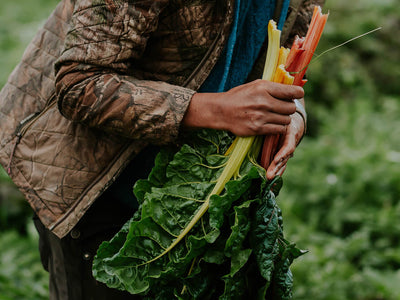 Seed to Table: This Innovative Organization Is Transforming What Food Assistance Looks Like