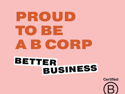 B Corp Month 2021: What's the Difference Between a B Corp and a Corporation?