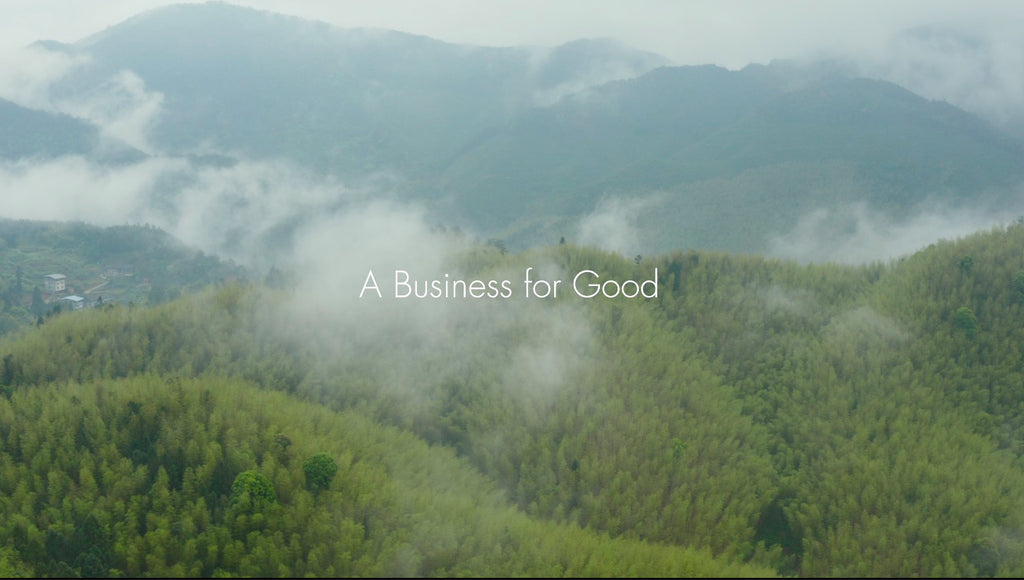 Inspirations Along the Way: The Film of bambu’s Foundational Journey