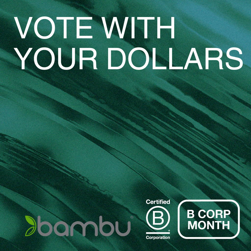 The Impact of B Corps: A Closer Look at Sustainability and Ethics in Business