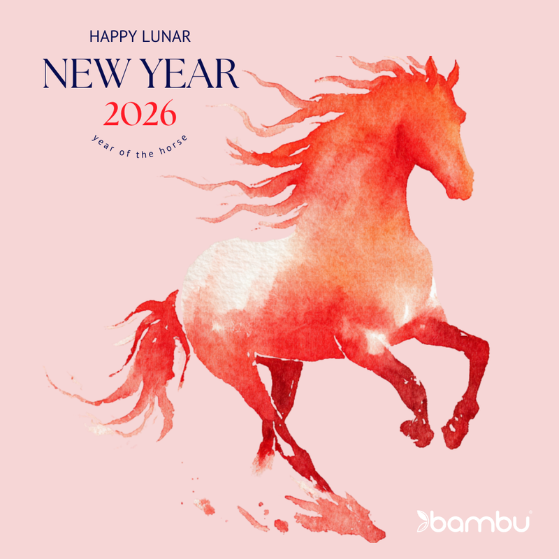 Lunar New Year - Year of the (Fire) Horse