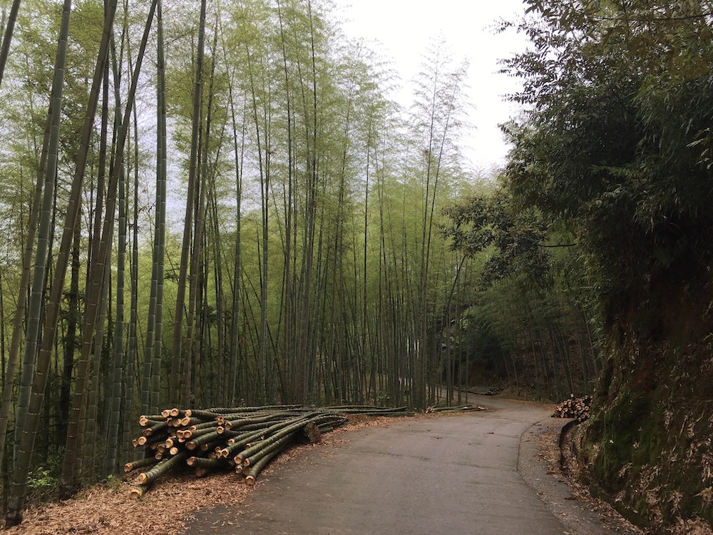 Navigating Uncertain Times: A Message from Bambu’s Founders