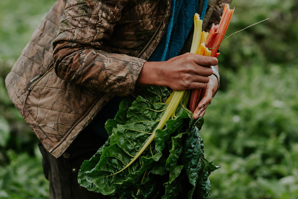 Seed to Table: This Innovative Organization Is Transforming What Food Assistance Looks Like