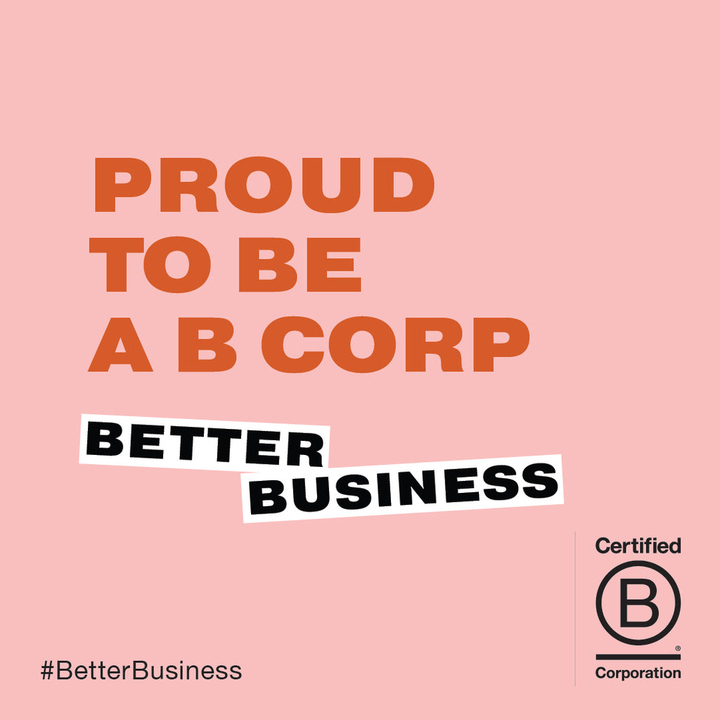 B Corp Month 2021: What's the Difference Between a B Corp and a Corporation?