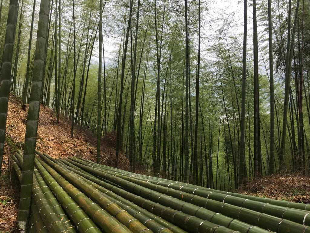 How Do We Certify Our Organic Bamboo Utensils? Inside An Organic Audit