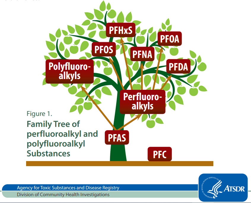 Living PFAS-Free: 8 Tips for a Healthier Home and Body