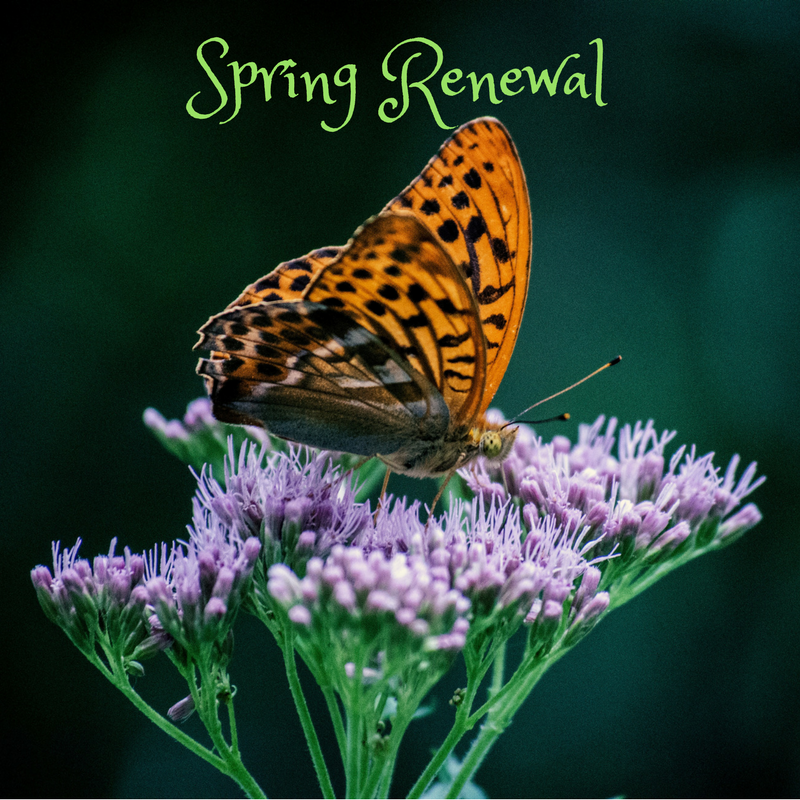 Spring Renerwal Spring Renewal for Body, Mind and Spirit - bambu