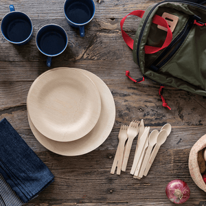 Compostable Dinnerware