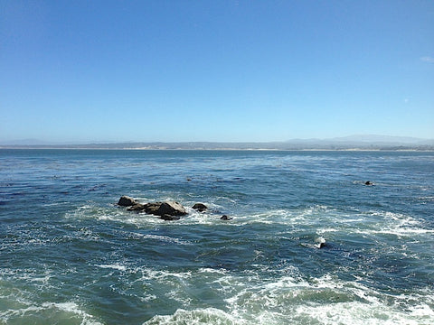 Monterey Bay