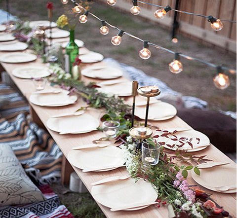 outdoor dinnerware and an alternative to paper plates