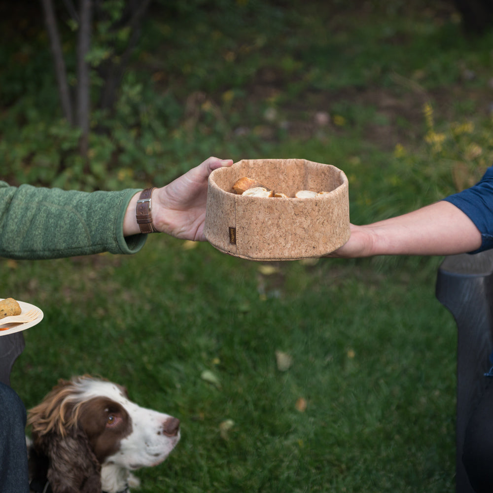 Cork bowl with cut fruit is passed between 2 people. A dog sits in the grass behind.