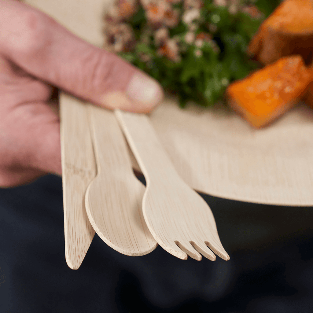 A person holds a set of Veneerware utensils in their hand, along with a plate of food. bambu