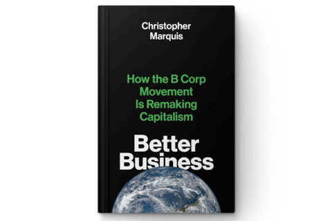 B Corp Better Business book The Shift bambu
