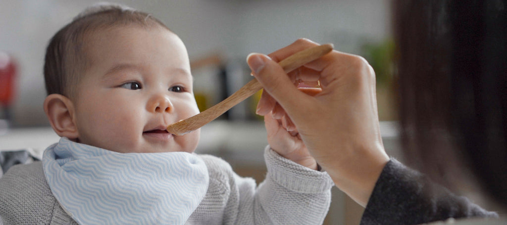 Bamboo, Organic Kids Products & Kid Utensils